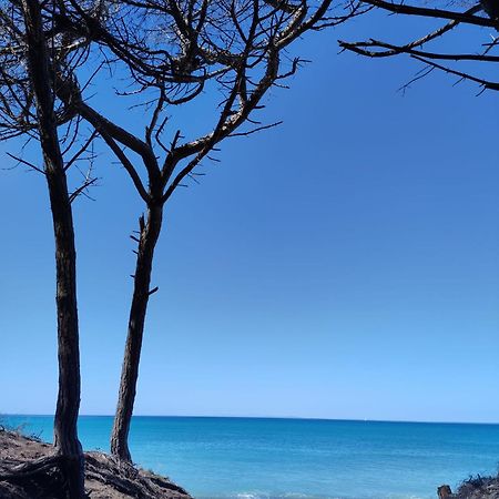 Mare Toscano Apartman Riparbella Kültér fotó