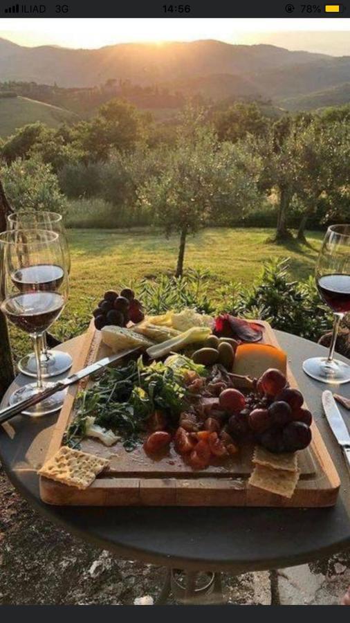 Mare Toscano Apartman Riparbella Kültér fotó