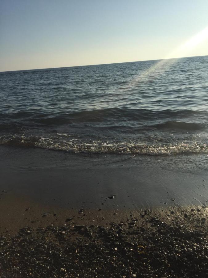 Mare Toscano Apartman Riparbella Kültér fotó