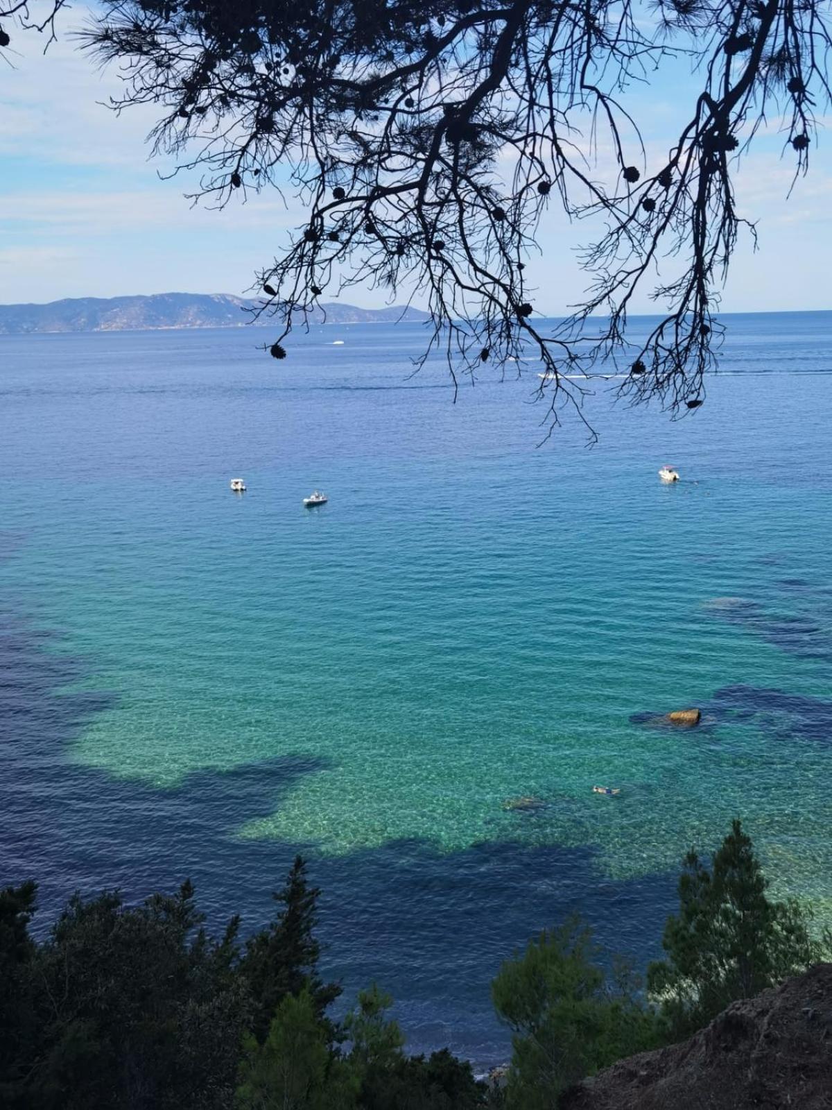 Mare Toscano Apartman Riparbella Kültér fotó