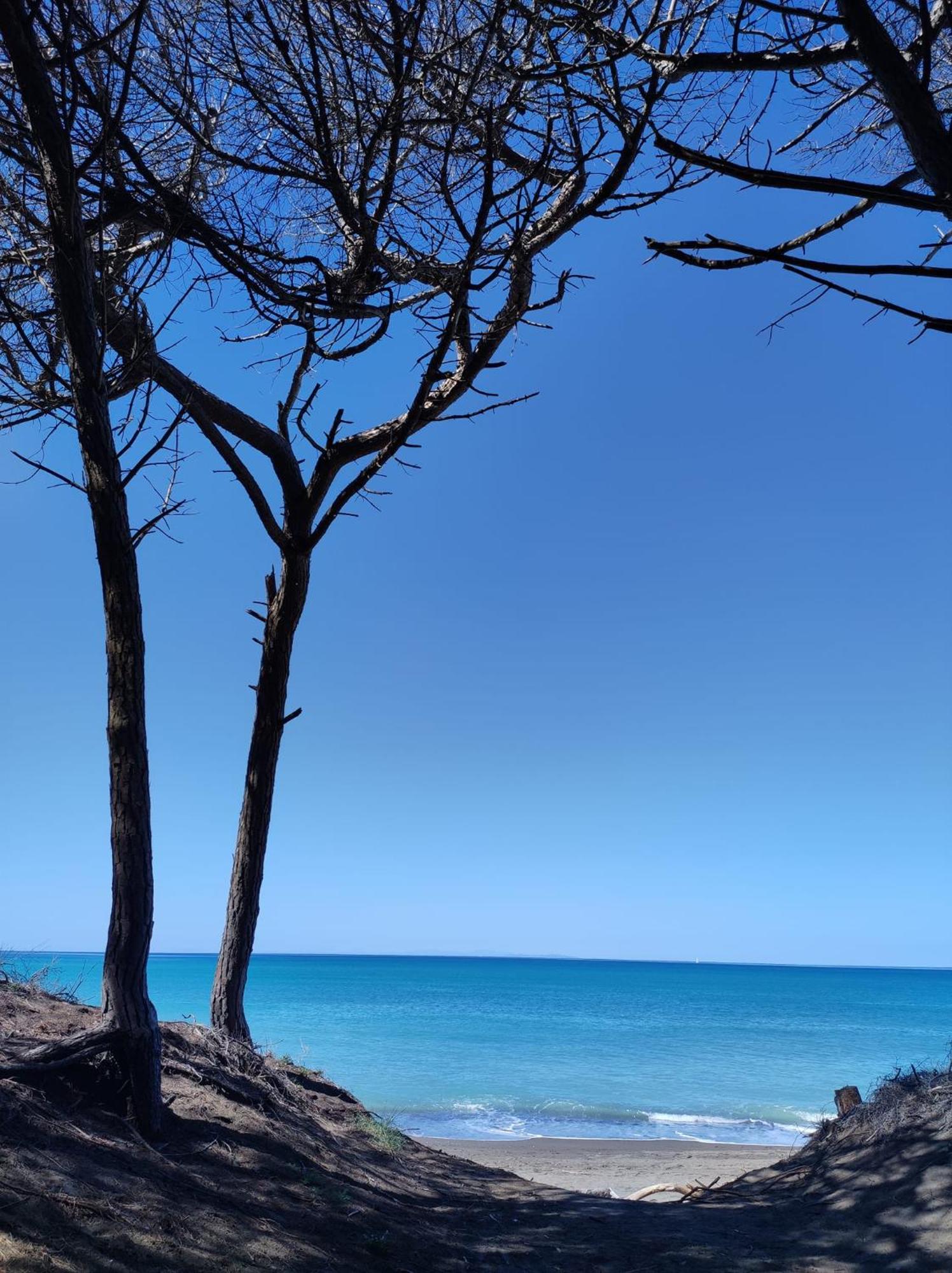 Mare Toscano Apartman Riparbella Kültér fotó